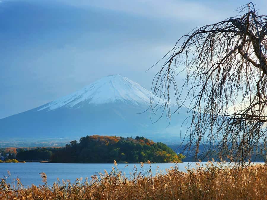From Tokyo: Mount Fuji Full-Day Private Tour (Customizable) - Price and Value: What $390 Per Group Actually Buys