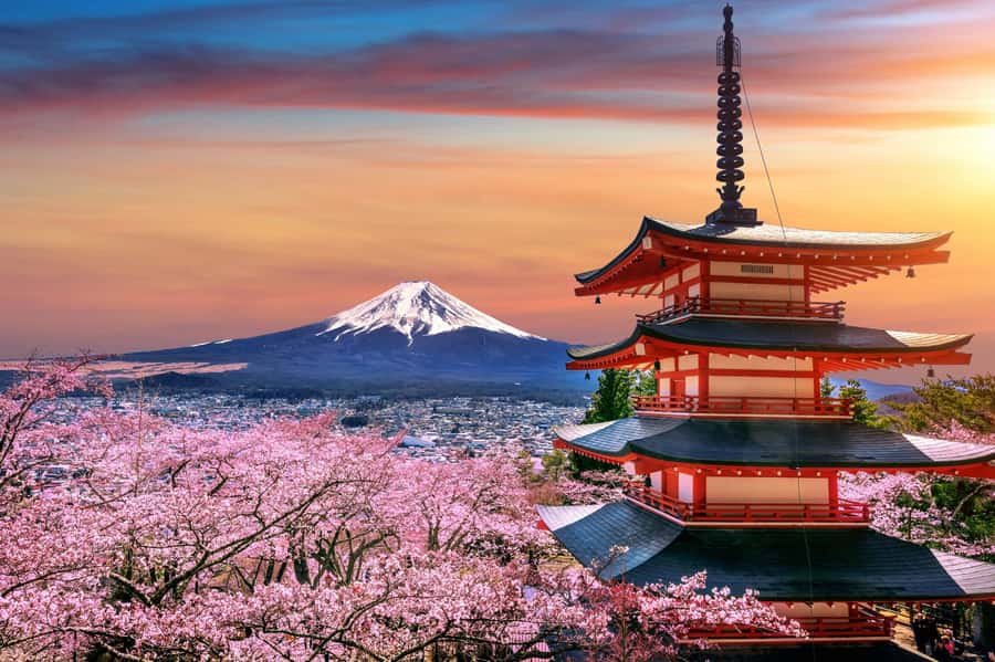 From Tokyo: Mount Fuji Full-Day Private Tour (Customizable) - Pickup, Comfort, and the Small Logistics That Actually Matter