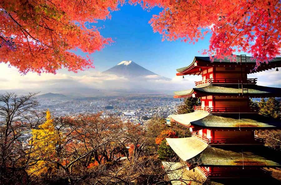 From Tokyo: Mount Fuji Full Day Private Tour English Guide - Key moments you’ll care about