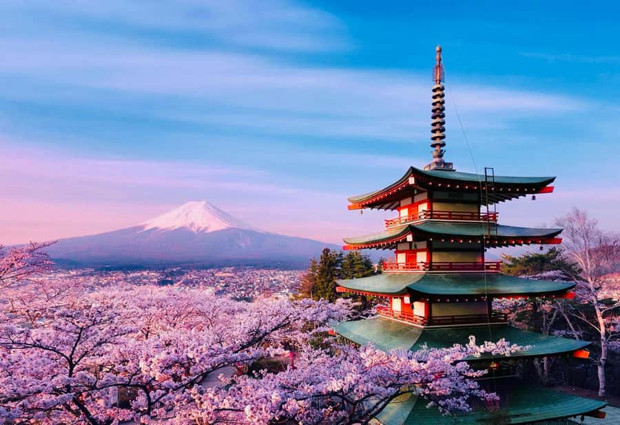 From Tokyo: Mount Fuji Full Day Private Tour English Guide - Price and value: $370 per group up to 5
