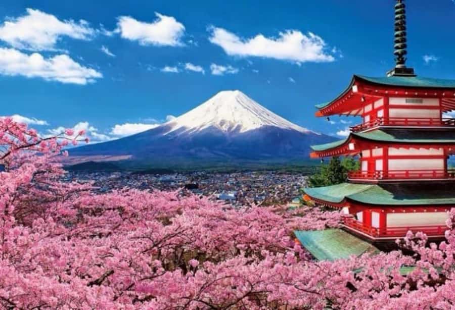 From Tokyo: Mount Fuji Full Day Private Tour English Guide - Is this the right Fuji day for your group?