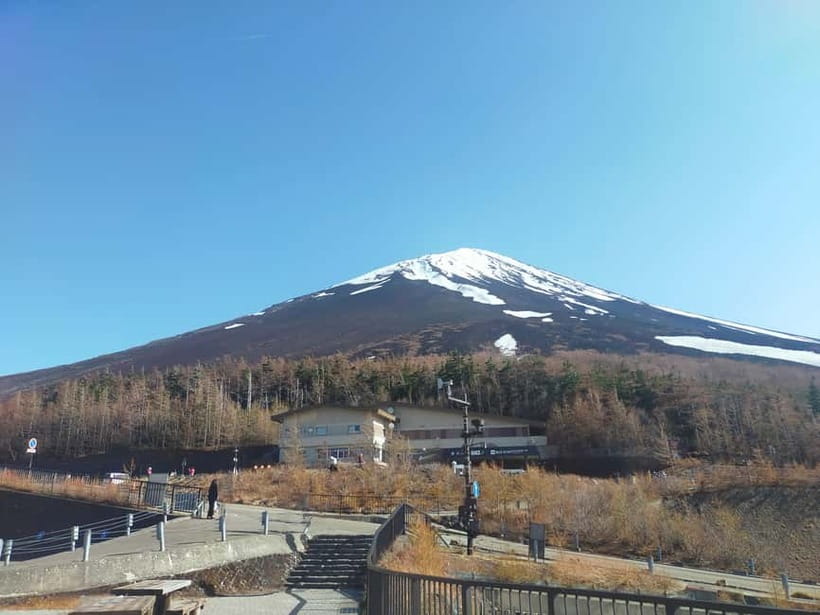 From Tokyo: Mount Fuji Full-Day Sightseeing Trip - Should you book this Mount Fuji full-day trip?