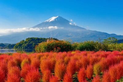 Mount Fuji Full-Day Sightseeing Trip
