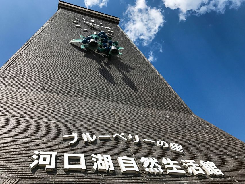 From Tokyo: Mount Fuji Full-Day Sightseeing Trip - Mt. Fuji 5th Station at about 2300 meters: the closest classic viewpoint in daylight