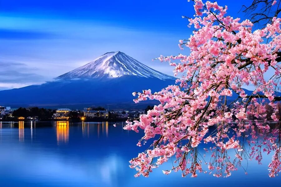 From Tokyo: Mount Fuji & Hakone Full Day Private Tour - Private car from Tokyo or Yokohama: why this works for Fuji