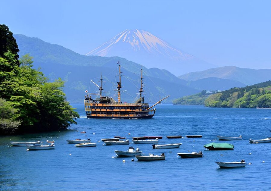 From Tokyo: Mount Fuji & Hakone Full Day Private Tour - Saiko Iyashi-no-Sato Nenba: thatched-roof village time you can actually enjoy