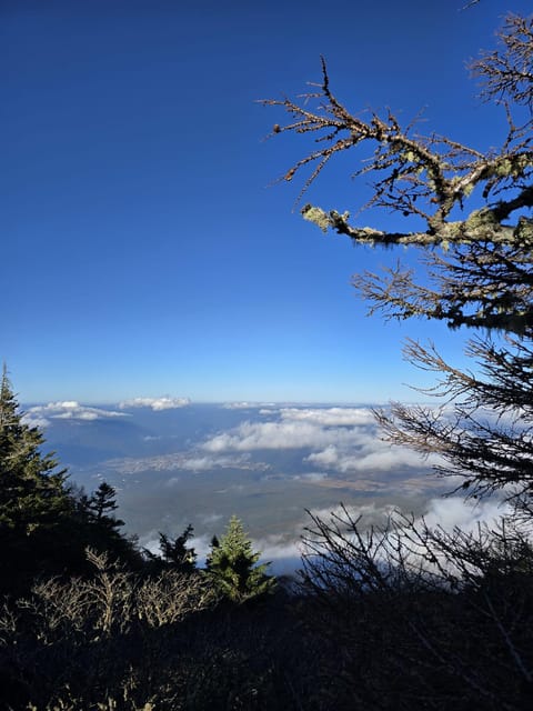 From Tokyo: Mount Fuji & Hakone Full Day Private Tour - Lake Kawaguchi: boat cruise, cable car, and the duck-boat hour