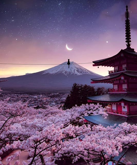 From Tokyo: Mount Fuji & Hakone Full Day Private Tour - Owakudani Valley and Hakone ropeway: volcanic drama, organized