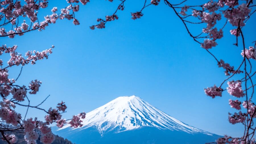 From Tokyo: Mount Fuji Private Day Tour With English Guide - Key Points to Know Before You Go