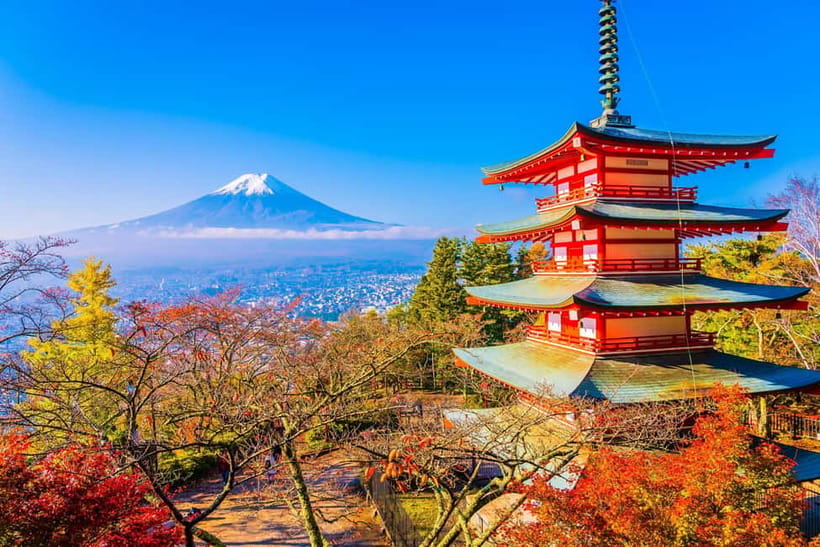 From Tokyo: Mount Fuji Private Tour With English Guide - Mount Fuji 5th Station: Highest Accessible Vehicle Views