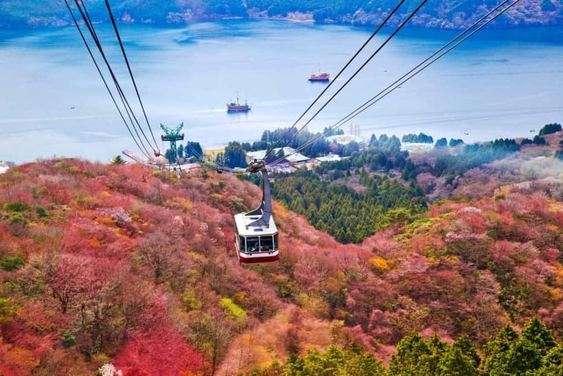 From Tokyo: Mount Fuji Private Tour With English Guide - Arakura Fuji Sengen Shrine and the Five-Story Pagoda Views
