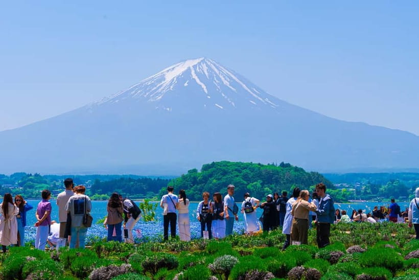 From Tokyo: Mt Fuji, Arakurayama and Kawaguchi Lake Day Trip - Lake Kawaguchiko: Oishi Park Flowers or the Maple Corridor Tunnel
