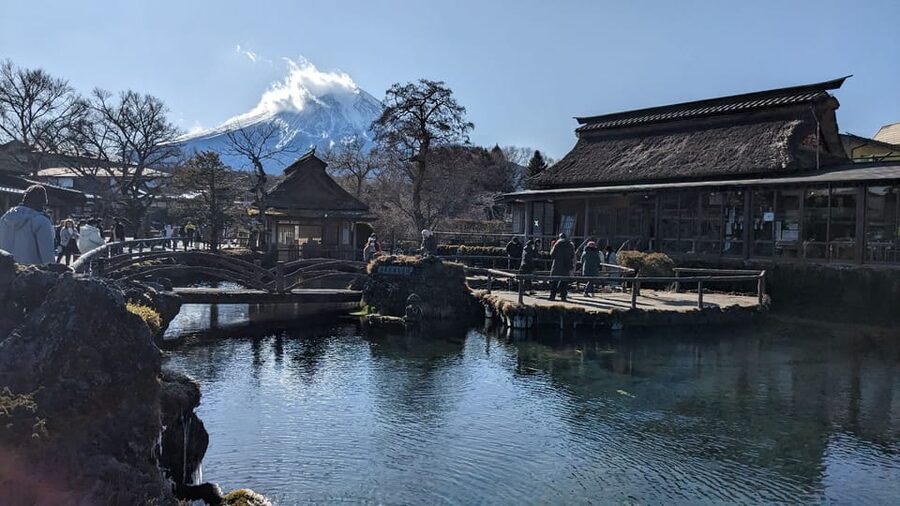 From Tokyo: Mt. Fuji & Hakone Tour w/ Return by Bullet Train - Hakone Ropeway into Owakudani: sulfur views and souvenir shopping