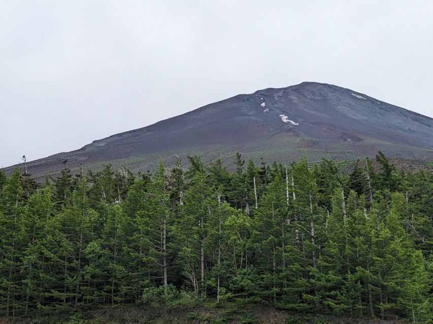 From Tokyo: Mt. Fuji & Hakone Tour w/ Return by Bullet Train - The bullet train return from Odawara: fast, clear, and self-guided at the end