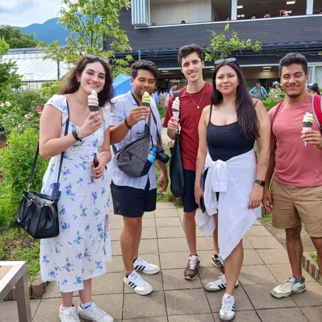 From Tokyo: Mt Fuji Private Day Tour In Luxury Land Cruiser - Price and Logistics: Is $329 Per Group Good Value?