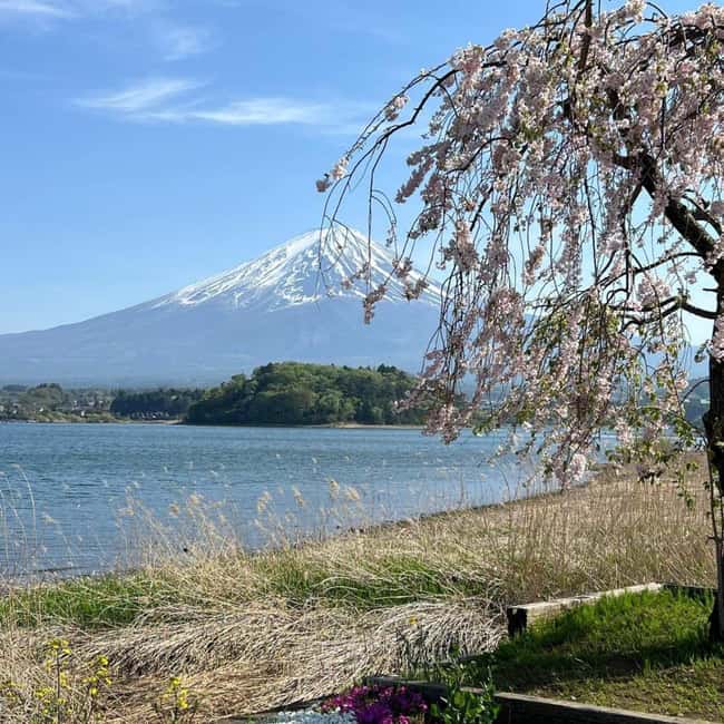 From Tokyo: Mt Fuji Private Day Tour In Luxury Land Cruiser - Luxury Land Cruiser Comfort, Not Tokyo Hassle