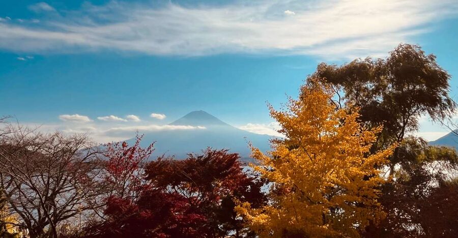 From Tokyo: Mt.Fuji, Tea Ceremony & Outlet Shopping Day Tour - From Shinjuku to Fuji without the transfer headache