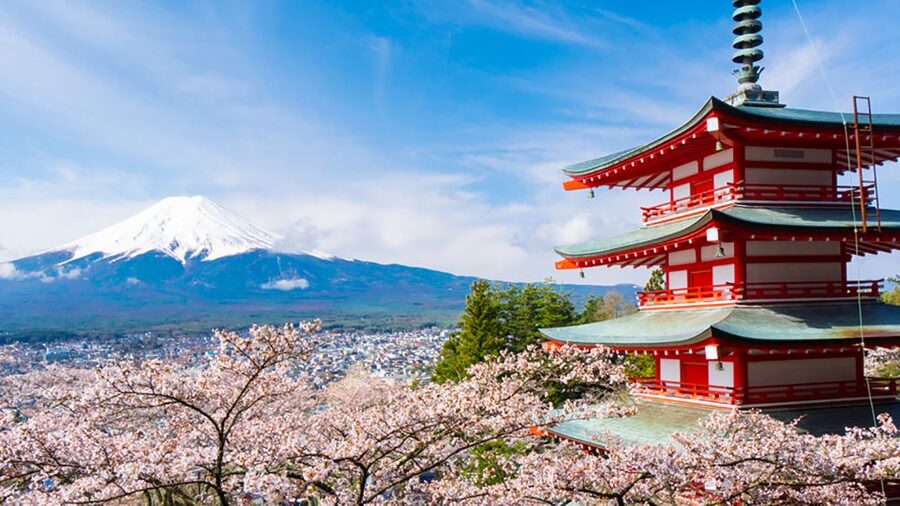 From Tokyo: Mt.Fuji, Tea Ceremony & Outlet Shopping Day Tour - Who this tour fits best (and who should skip)