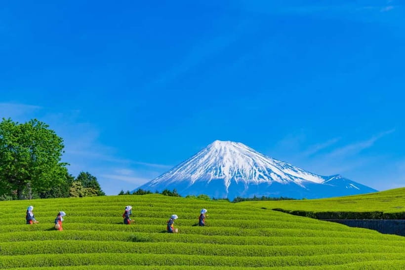 From Tokyo: Must-Visit Mount Fuji Highlight Full-Day Tour - Honcho Street and Lawson Fujikawaguchiko, where the day shifts gears
