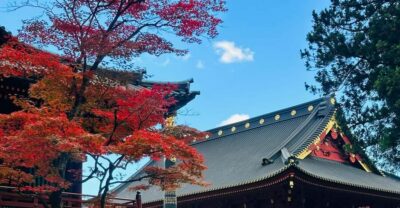 Nikko Customize private Tour With English Driver