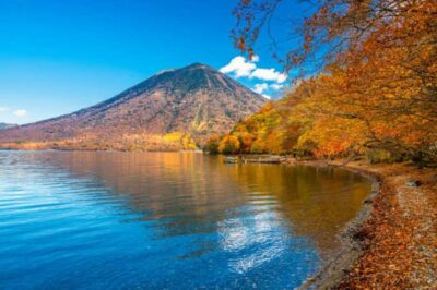 Nikko Toshogu Day tour with Traditional Lunch