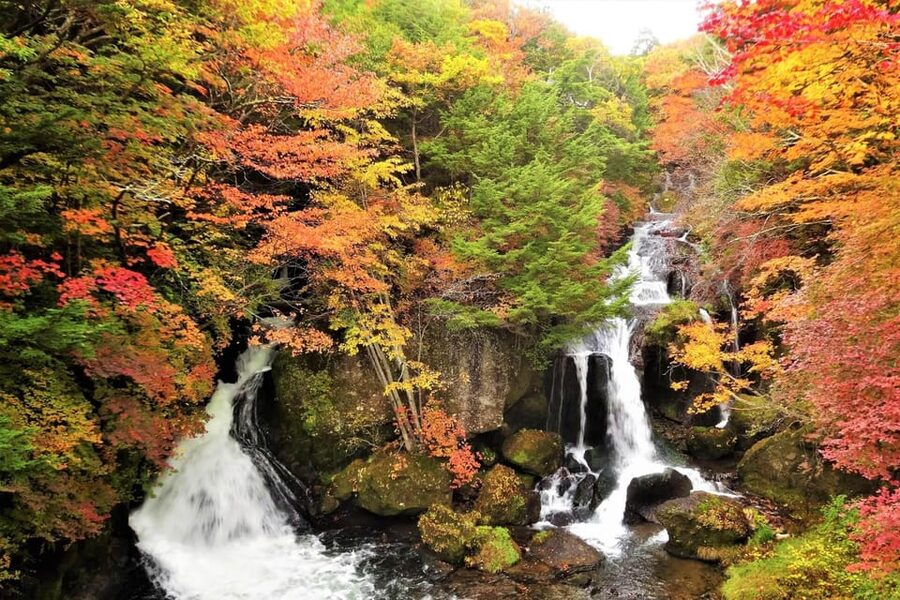 From Tokyo: Nikko World Heritage Site Private Full-Day Trip - Akechidaira Ropeway: mountain, lake, and waterfall views in one go