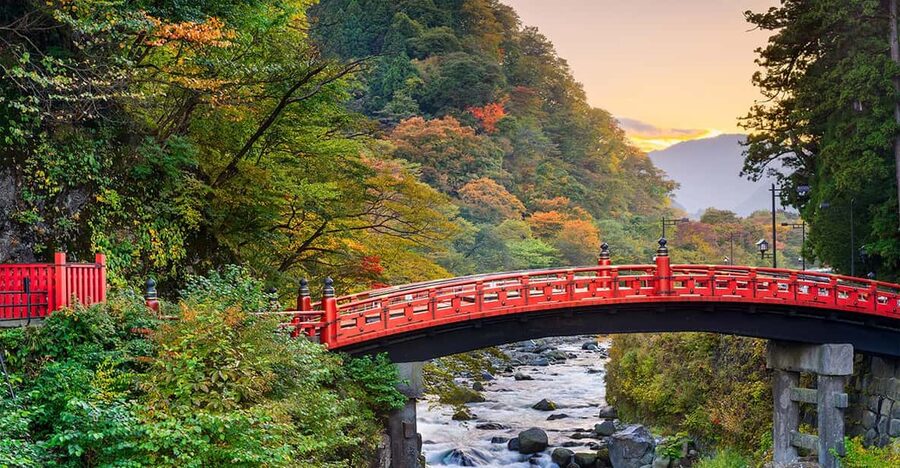 From Tokyo: Nikko World Heritage Site Private Full-Day Trip - Tamozawa Imperial Villa Memorial Park: elegance and quiet gardens