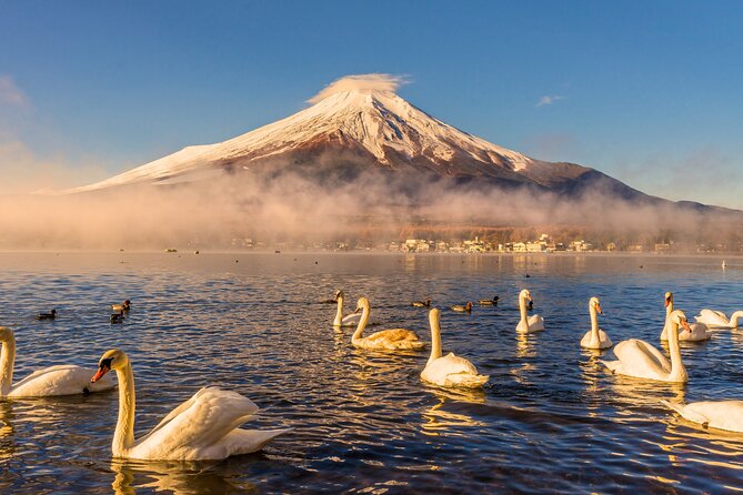 From Tokyo: Private Day Trip to Mount Fuji & Fuji Five lakes - Key highlights worth caring about