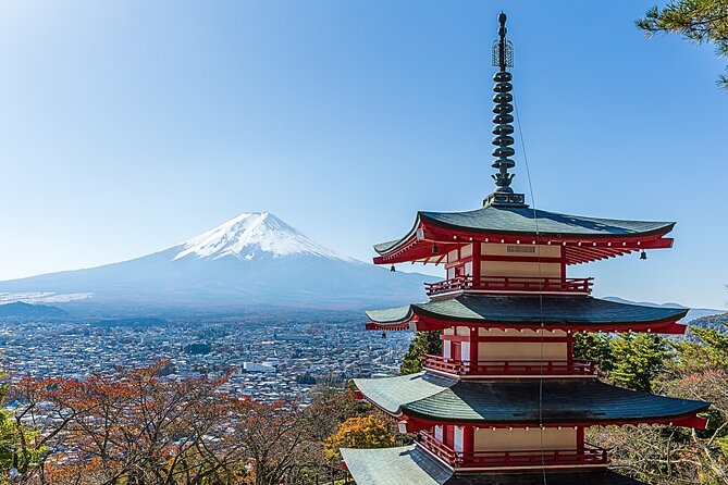 From Tokyo: Private Day Trip to Mount Fuji & Fuji Five lakes - Mount Fuji day trip from Tokyo, minus the logistics headache