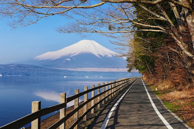 From Tokyo: Private Day Trip to Mount Fuji & Fuji Five lakes - Stop 5: Lake Kawaguchiko and the included boat cruise