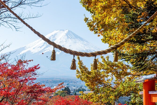 From Tokyo: Private Day Trip to Mount Fuji & Fuji Five lakes - Stop 1: Kitaguchi Hongu Fuji Sengen Jinja Shrine and the calm start
