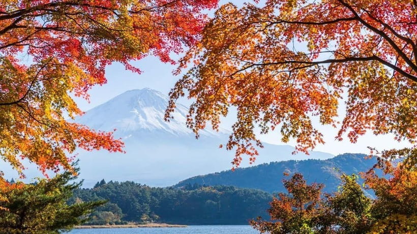 From Tokyo: Private Mt. Fuji and Hakone Tour by Car - Key Things That Make This Tour a Solid Choice