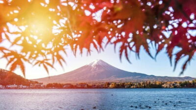 Private Mt. Fuji and Hakone Tour by Car
