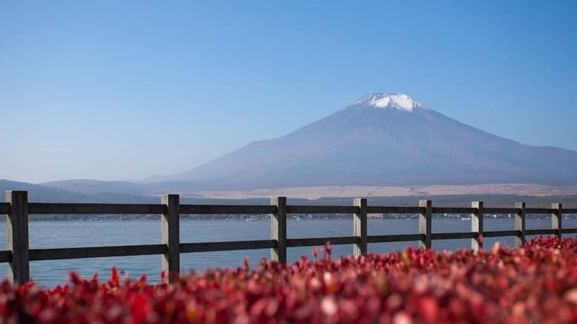 From Tokyo: Private Mt. Fuji and Hakone Tour by Car - Lunch Time in Hakone: A Practical Break You Control