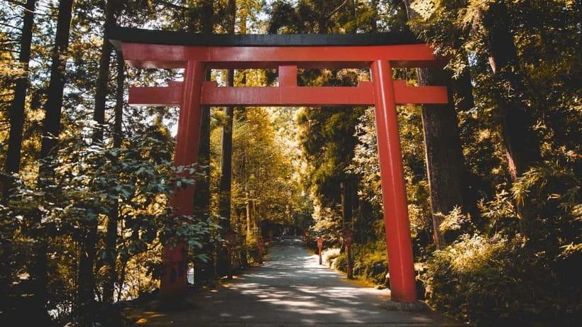 From Tokyo: Private Mt. Fuji and Hakone Tour by Car - Hakone Open-Air Museum: Art with Mountain Backdrops