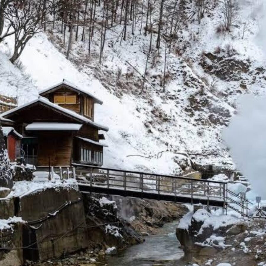From Tokyo: Private Tour Snow Monkey Park & Zenko-ji Temple - Matsushiro Castle Ruins in 45 minutes: short walk, big story energy