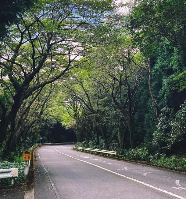 From Tokyo: Private Tour to Fuji/Hakone - Onsen, Art, Nature - A private Hakone day trip that actually feels like a day