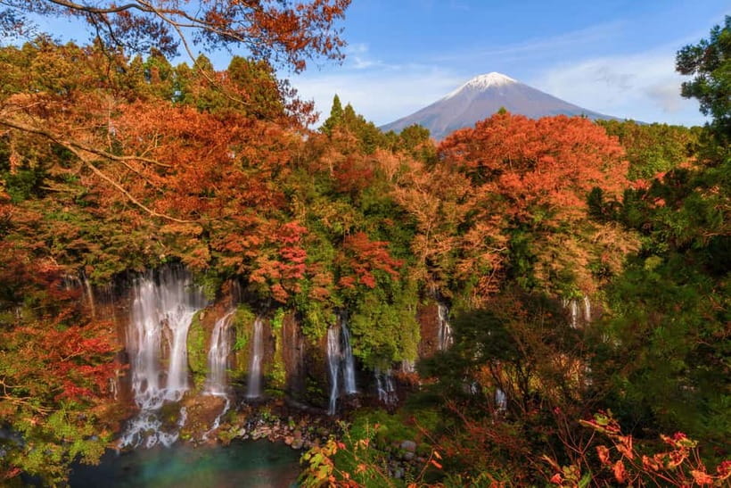 From Tokyo: Private Tour to Fuji/Hakone - Onsen, Art, Nature - Lake Ashi and Hakone Shrine: the quiet heart of Hakone
