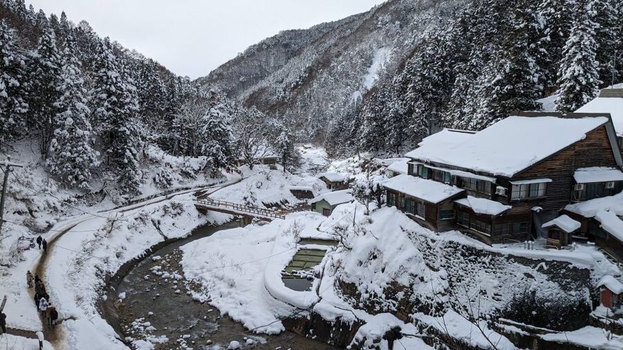 From Tokyo: Snow Monkey 1 Day Tour with Beef Sukiyaki Lunch - The winter walk: your biggest make-or-break factor