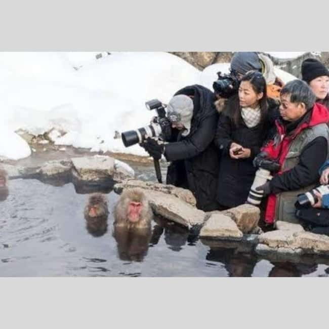 From Tokyo: Snow Monkey Park and Miso Production Day Tour - Price and value: $455 per group (up to 6) for a full Nagano day