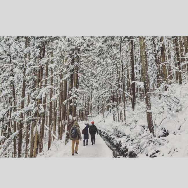From Tokyo: Snow Monkey Park and Miso Production Day Tour - Private door-to-door comfort from Tokyo to Nagano
