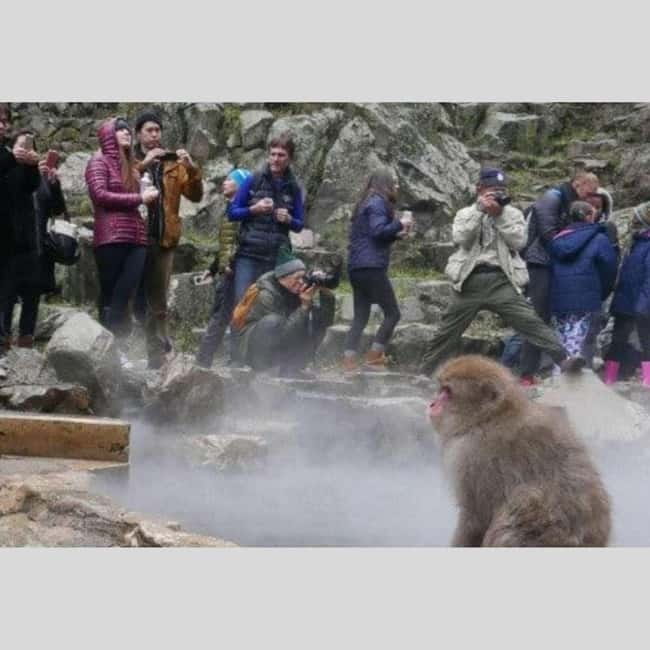 From Tokyo: Snow Monkey Park and Miso Production Day Tour - Shibu Onsen: end your day in a historic hot-spring village
