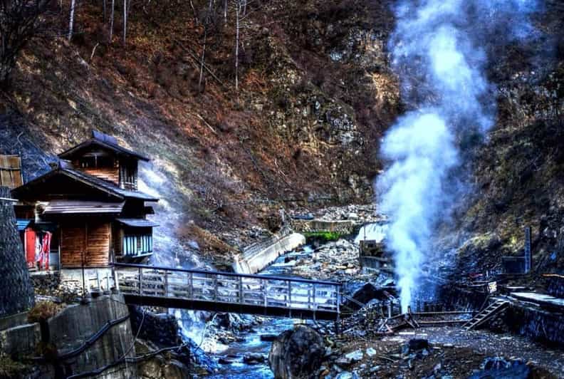 From Tokyo: Snow Monkey Private Customize Day Tour - Key highlights to know before you go