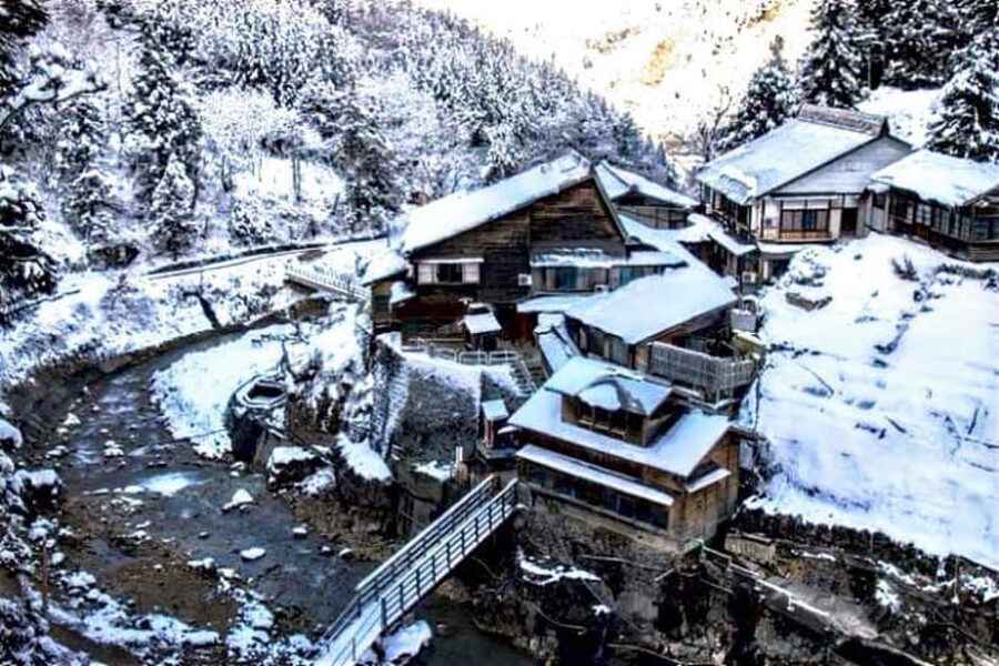 From Tokyo: Snow Monkey Private Customize Day Tour - Shibu Onsen and Obuse: quick Nagano flavor with room to wander
