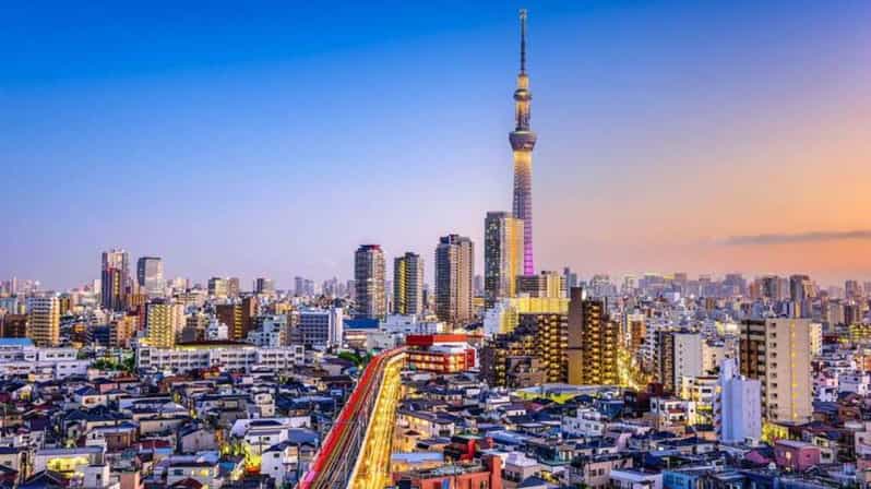 From Tokyo: Tokyo Private Customize Tour With English Driver - Key moments that make this tour worth your time