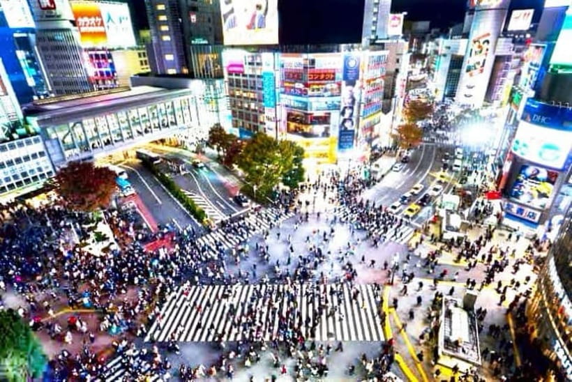 From Tokyo: Tokyo Private Customize Tour With English Driver - Private pickup and an air-conditioned van for Tokyo stress-free pacing