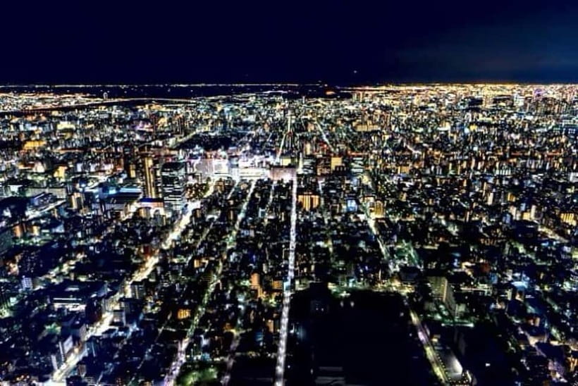 From Tokyo: Tokyo Private Customize Tour With English Driver - Tsukiji Outer Market and Imperial Palace East Gardens as optional add-ons