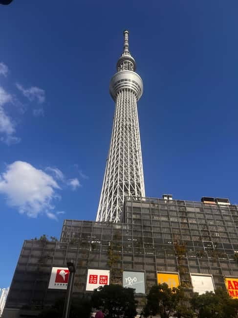 From Tokyo: Tokyo Private Customize Tour With English Driver - Comfort, safety, and who this tour fits best