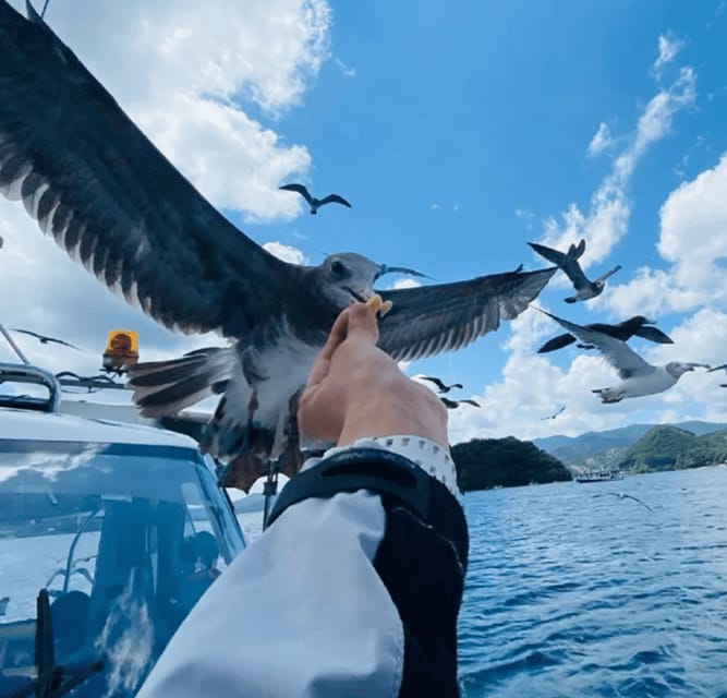 FromOsaka/Kyoto:Hiroshima & Miyajima Private Tour with Lunch - A Private Hiroshima and Miyajima Day That Feels Managed