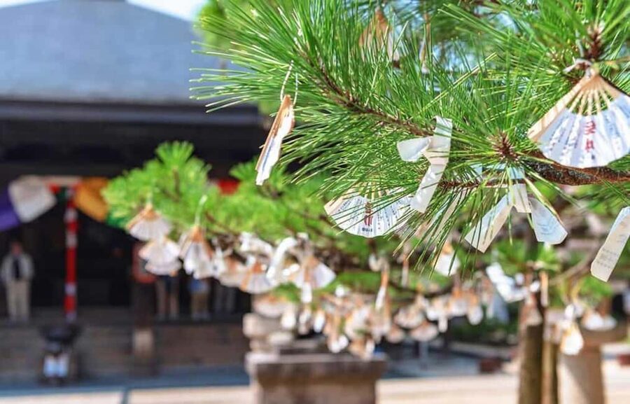 FromOsaka/Kyoto:Hiroshima & Miyajima Private Tour with Lunch - Hiroshima Okonomiyaki Lunch: A Local Meal That Keeps the Day Moving